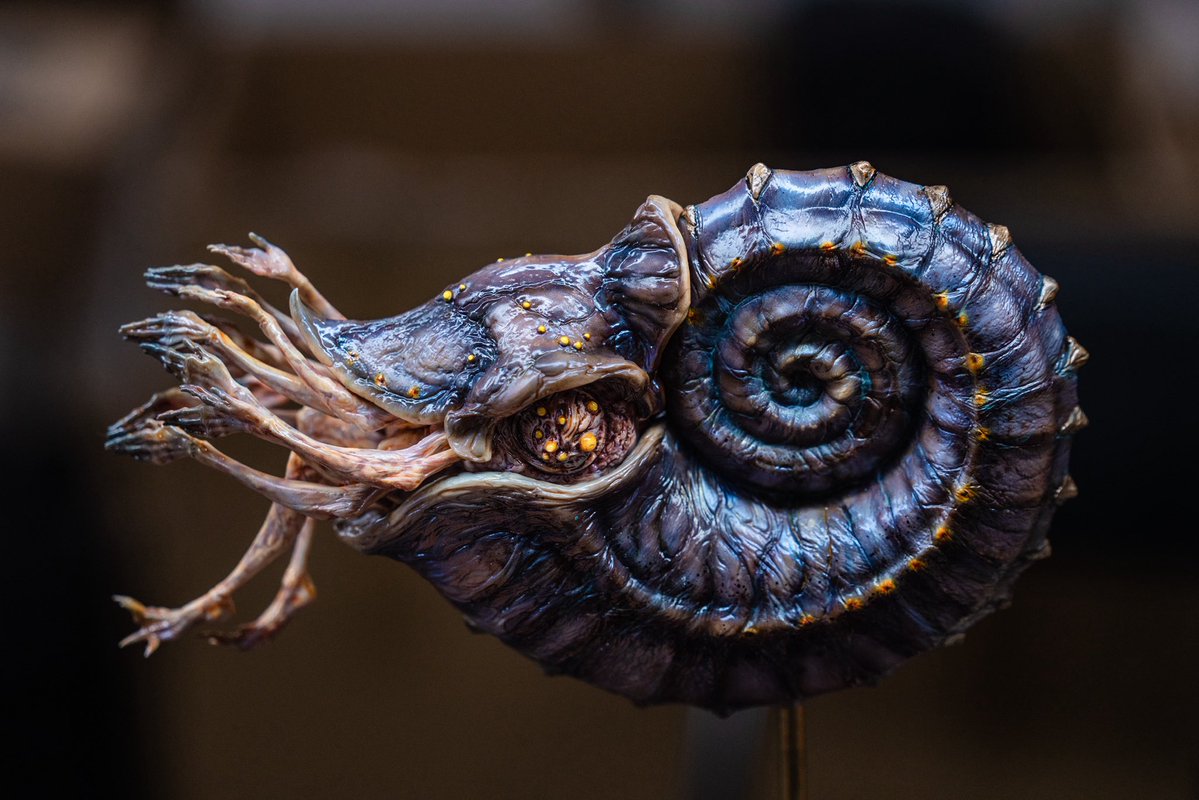 Xiaoding tweet media