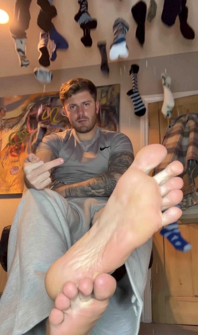 Master Harv 🐺 tweet media