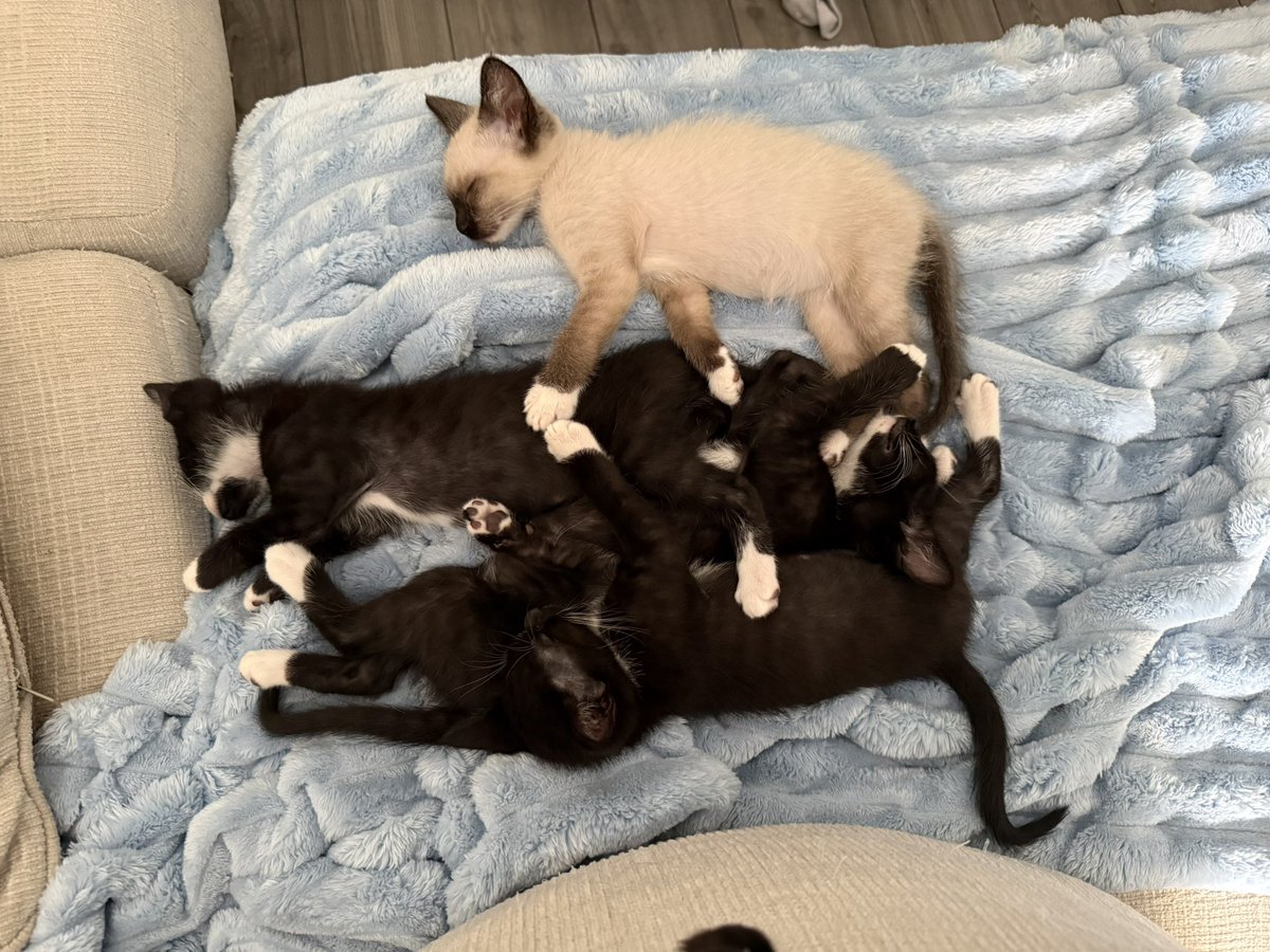 The Redheaded libertarian tweet media