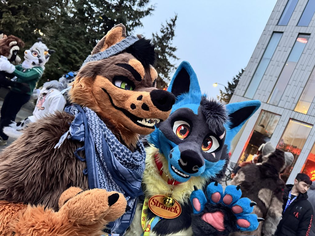 Sleepy K9 @ LOST IN FLORIDA tweet media