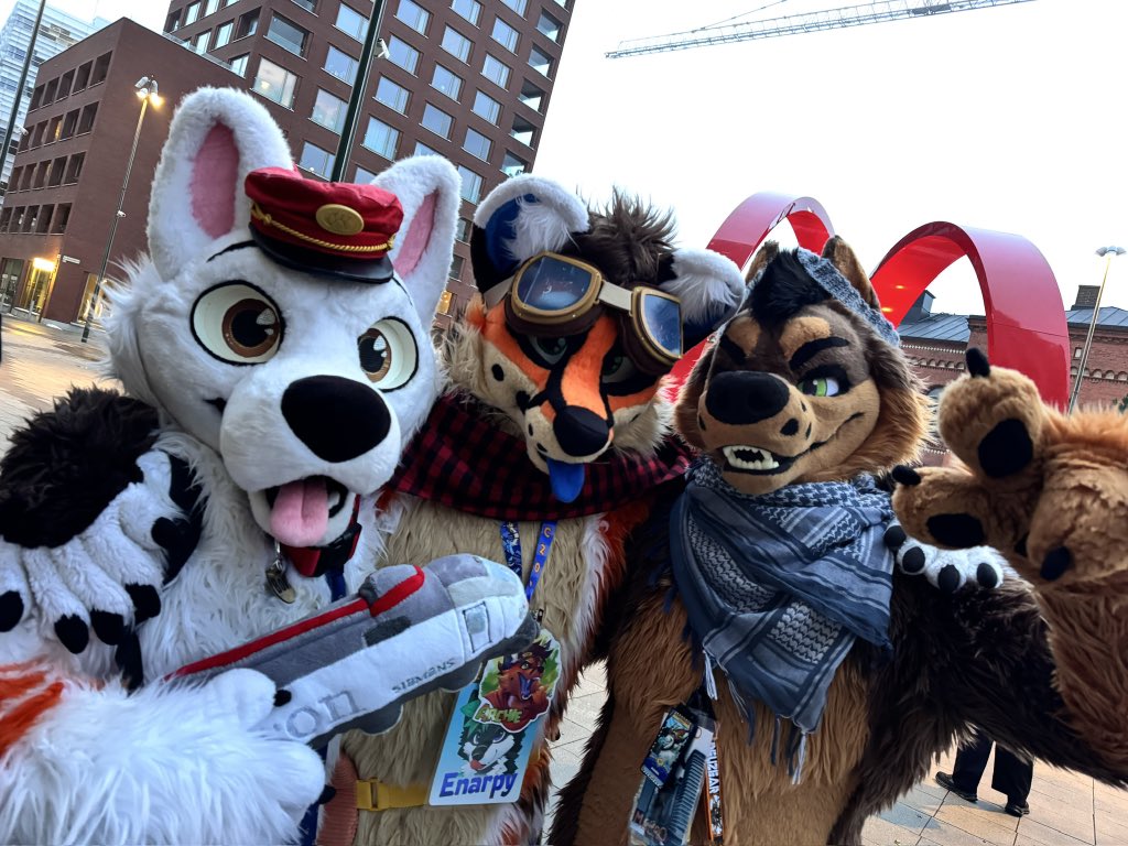 Sleepy K9 @ LOST IN FLORIDA tweet media