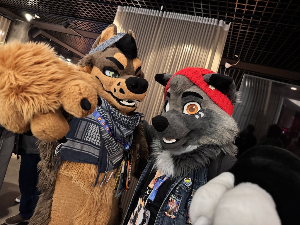 Sleepy K9 @ LOST IN FLORIDA tweet media