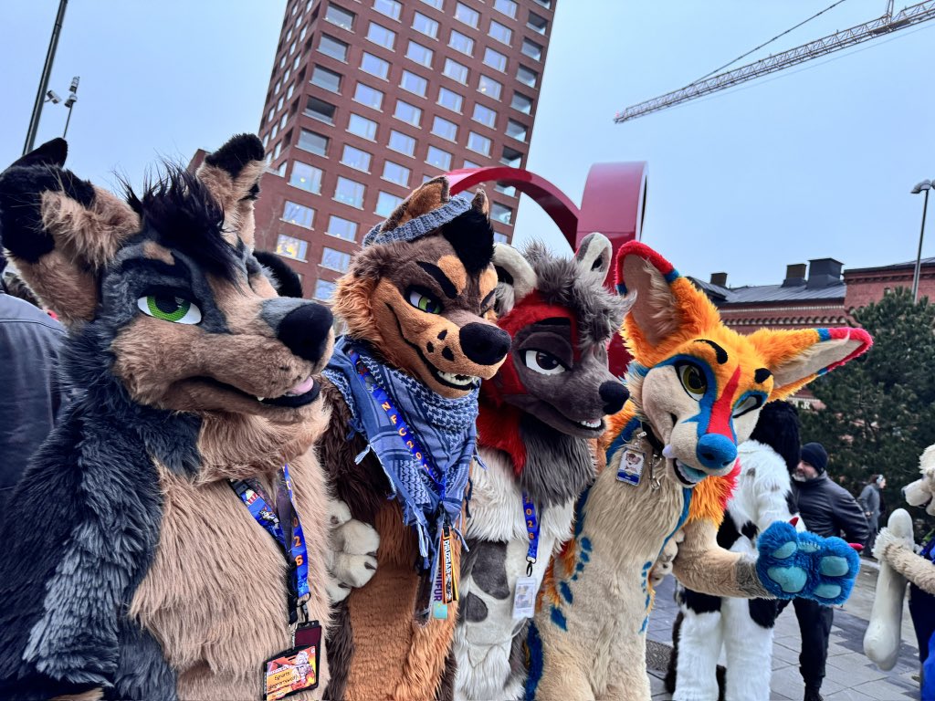 Sleepy K9 @ LOST IN FLORIDA tweet media