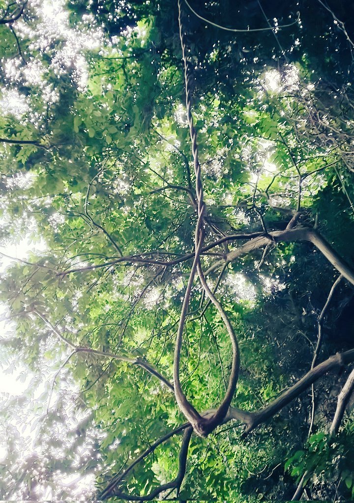 ster03ling's tweet photo. #国は安楽死を認めてください https://t.co/A2ptNI6A6C