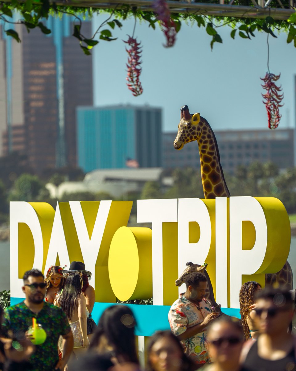 Day Trip ☀️ tweet media