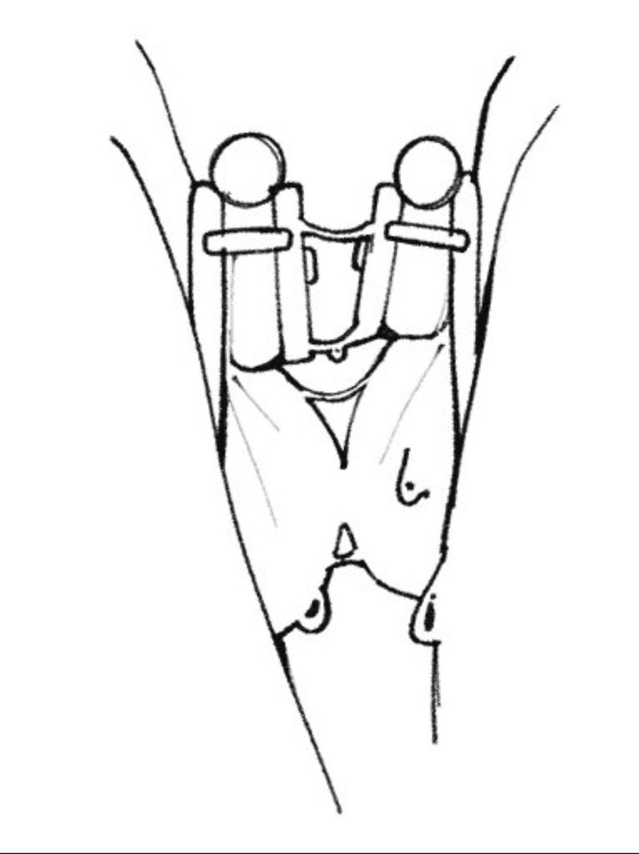 Soyboy (DM me) tweet media