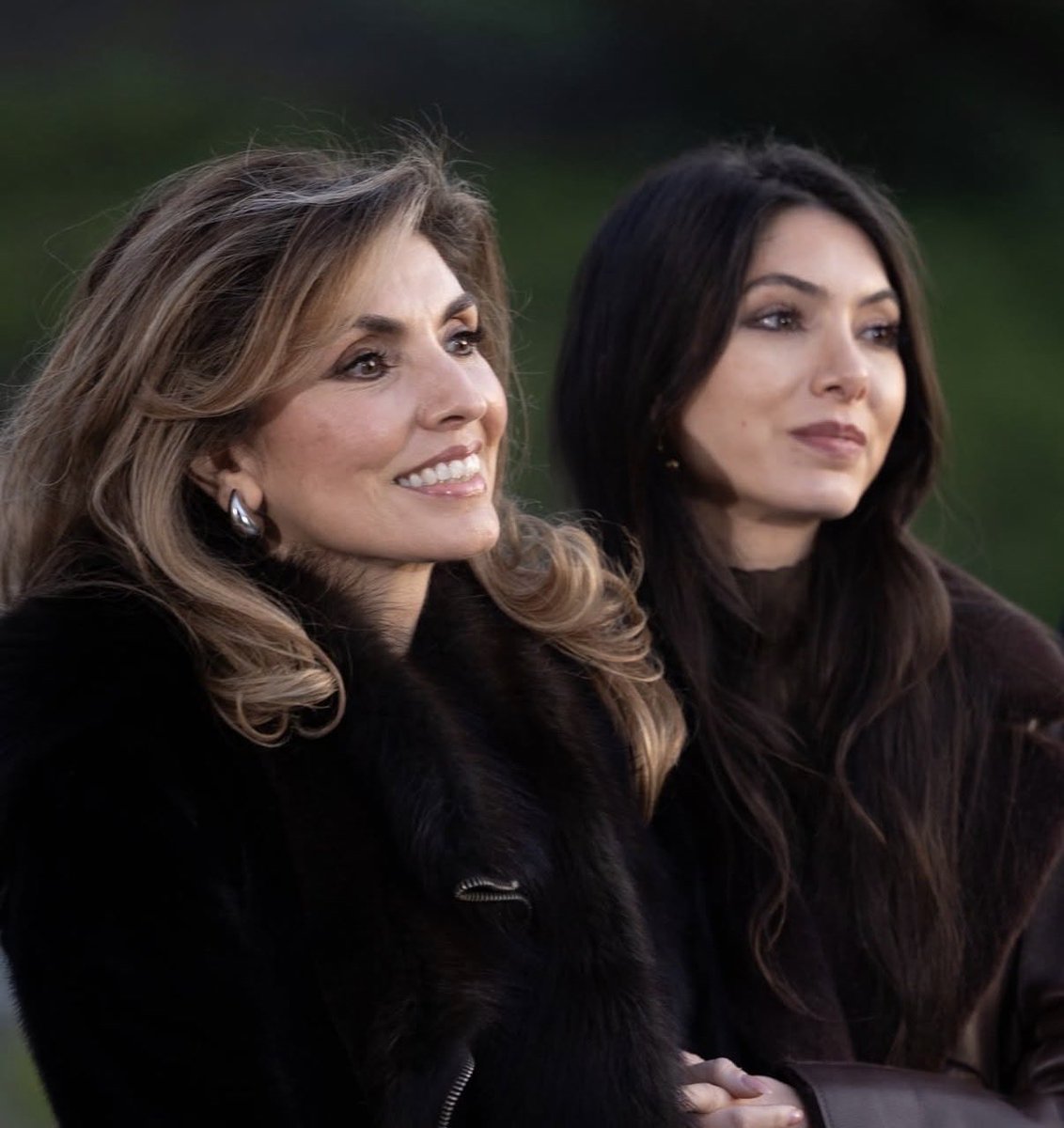 Perquestus tweet media