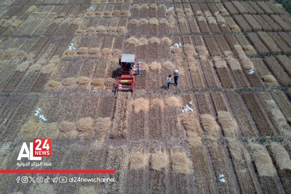 AL24Francais's tweet image. #FAO: hausse des #prix mondiaux des #produits_alimentaires en février 

➡al24news.dz/fr/fao-hausse-…