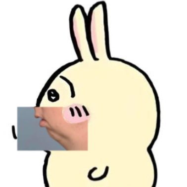 usagi is chopped chin