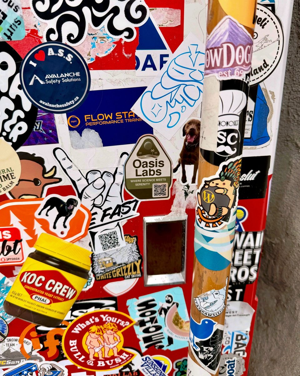 WordPress tweet media