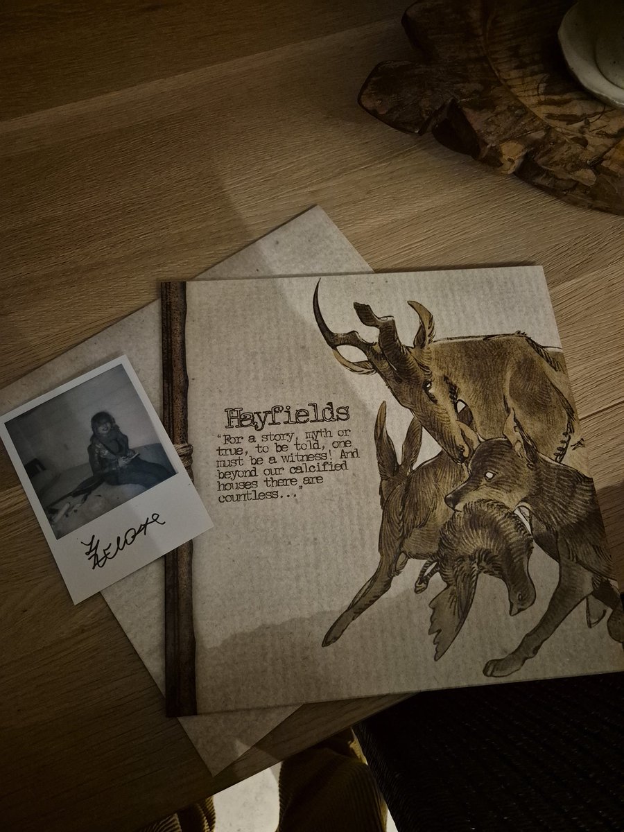 𓆱 Anda 𓆱 tweet media