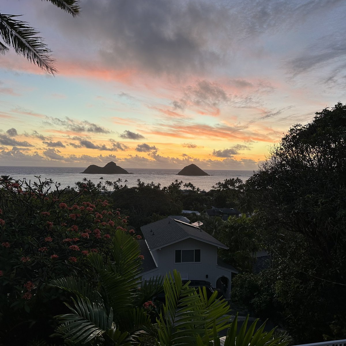 I’m down to my dick and balls tweet media