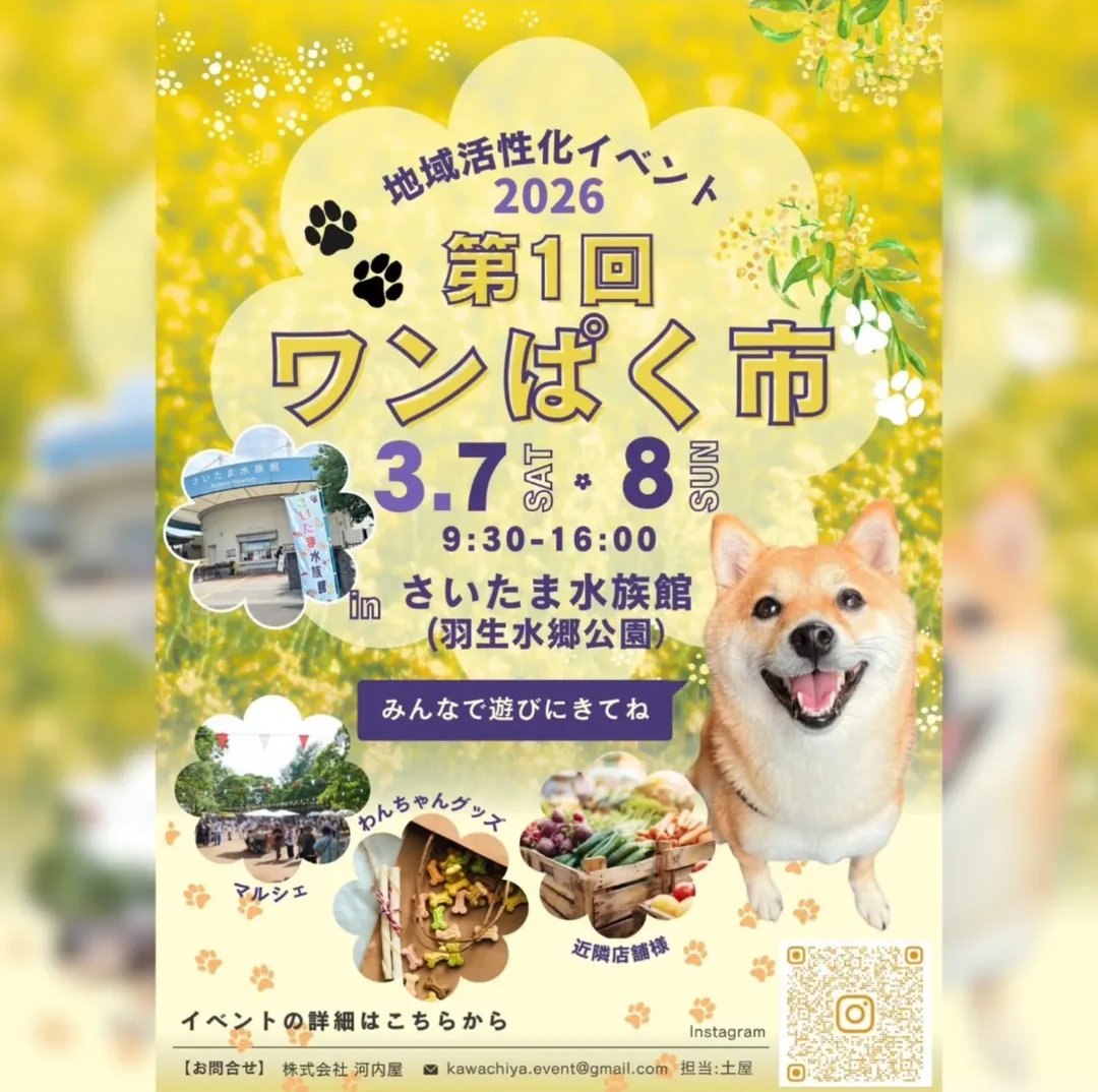 laugh_59's tweet photo. おはようございます☀

本日、強風のため花久の里での
イベントは出店キャンセルいたします😓

明日も風は強いですが…

今日よりは弱い予報なので
出店はいたします！

では、明日はさいたま水族館で
お待ちしております🙇‍♂️✨ https://t.co/2YklAImLPg