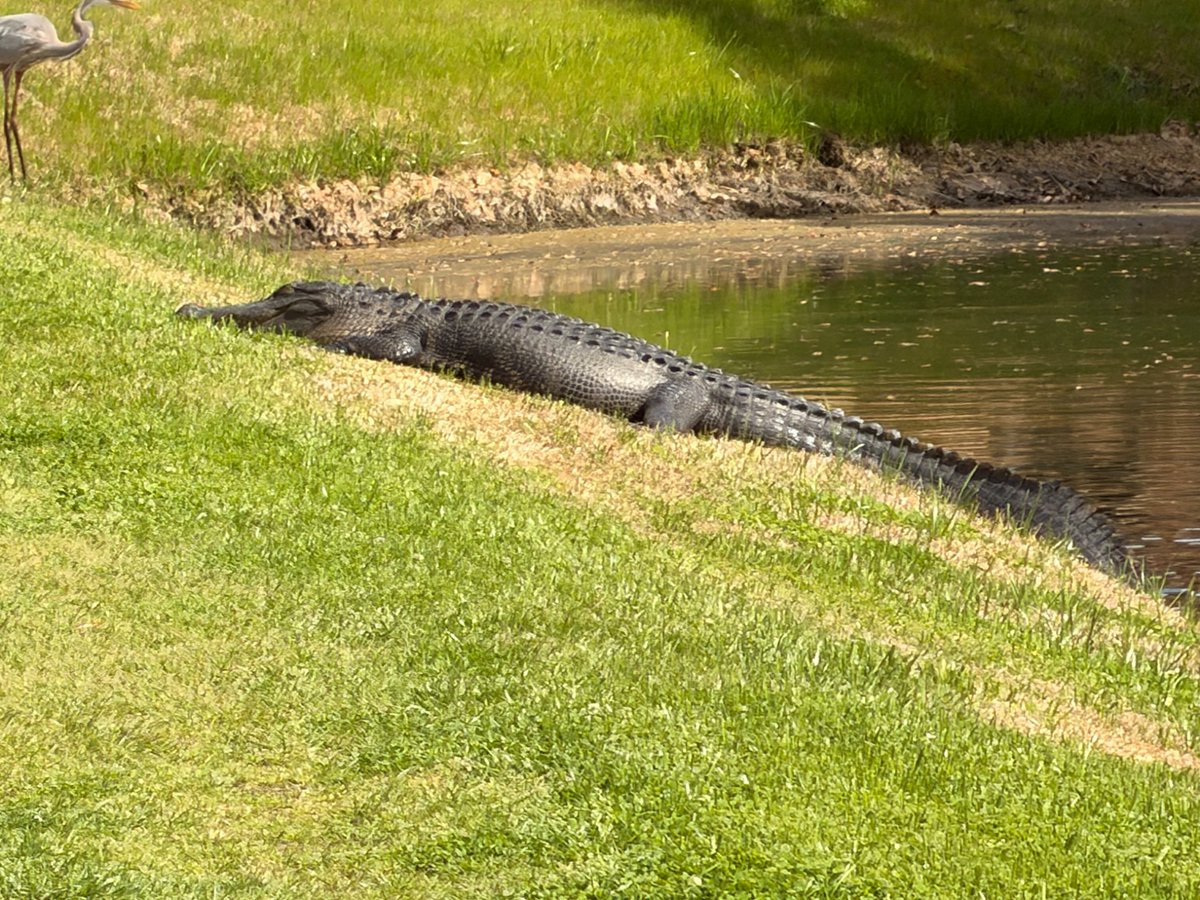 asimo3089 tweet media