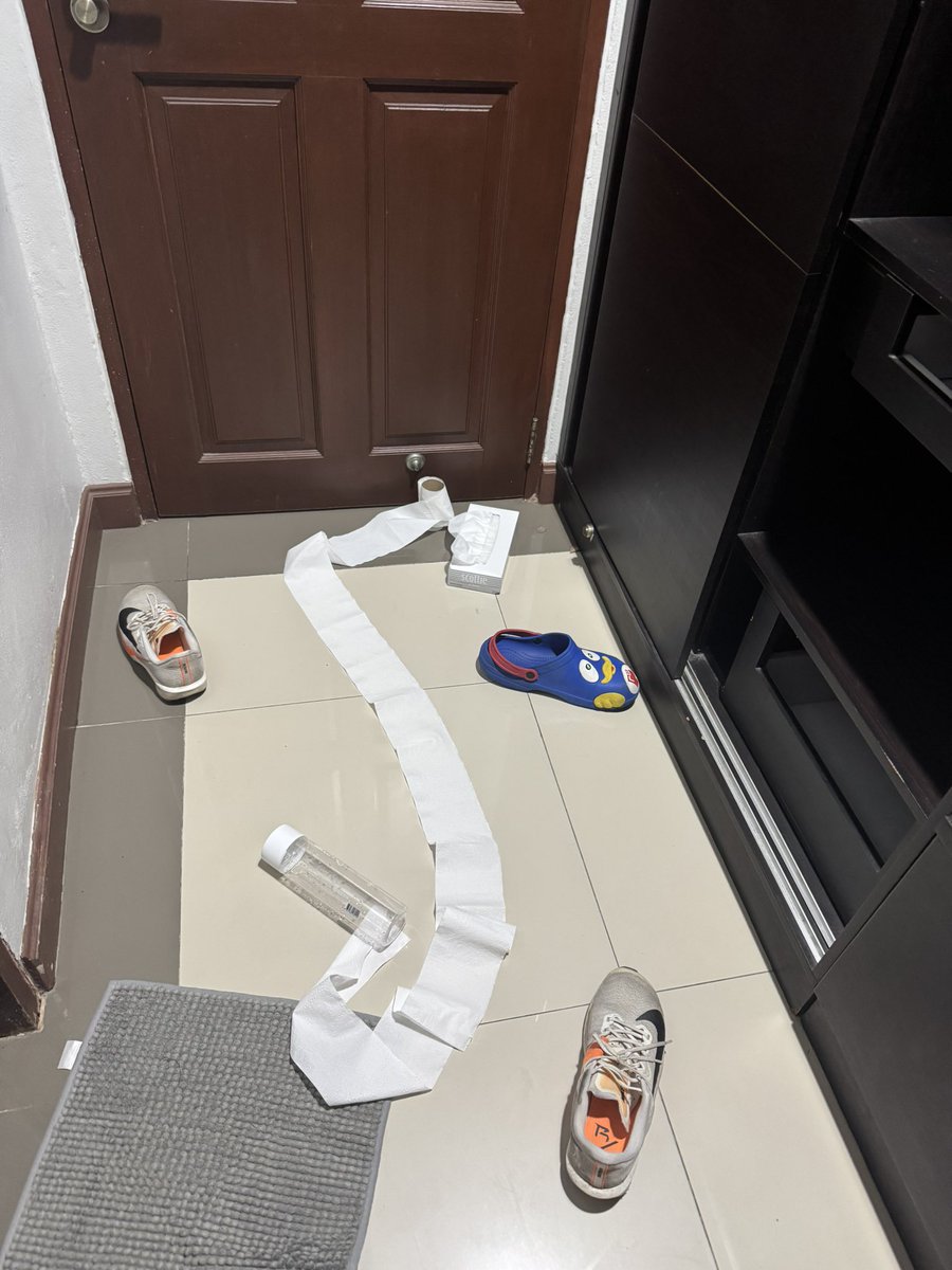 部屋に入ってきた蛾と戦闘中。
ティッシュを10枚重ねても蛾に触れないから遠くから物を投げまくってる。

#心の底から虫が嫌い