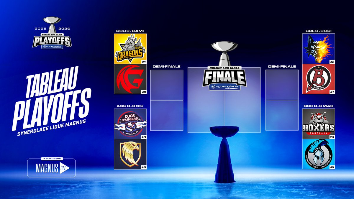 Synerglace Ligue Magnus tweet media