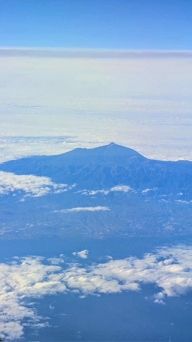 Víctor Férriz Pablo tweet media