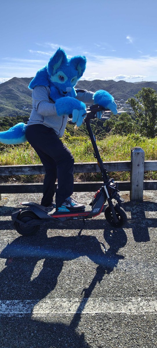 Zolfarius tweet media