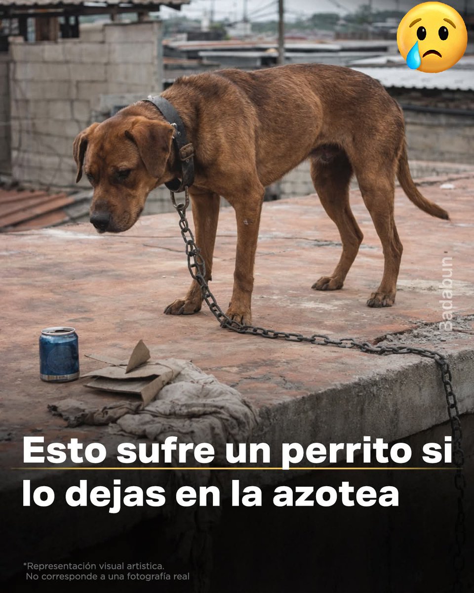 rogelio martinez 99K tweet media