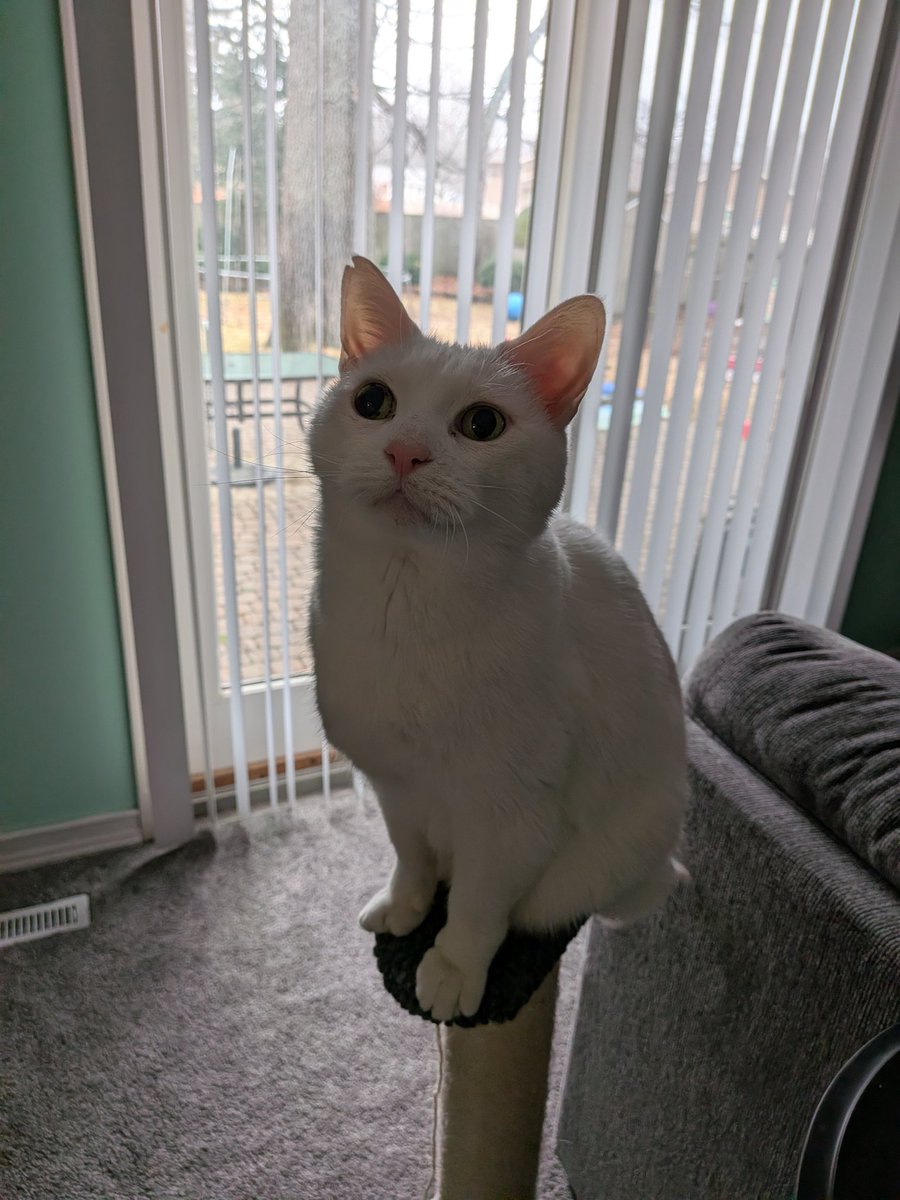 David James 🍩 tweet media