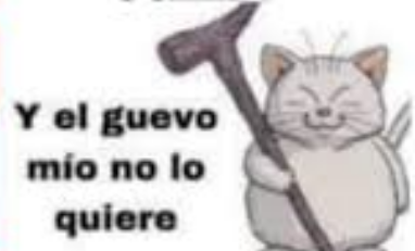 Patoman 👑🥔🗡 tweet media