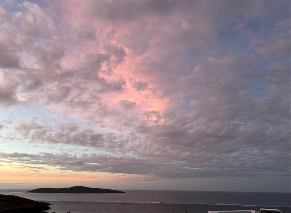 𐔌՞ ܸ.ˬ.ܸ՞𐦯