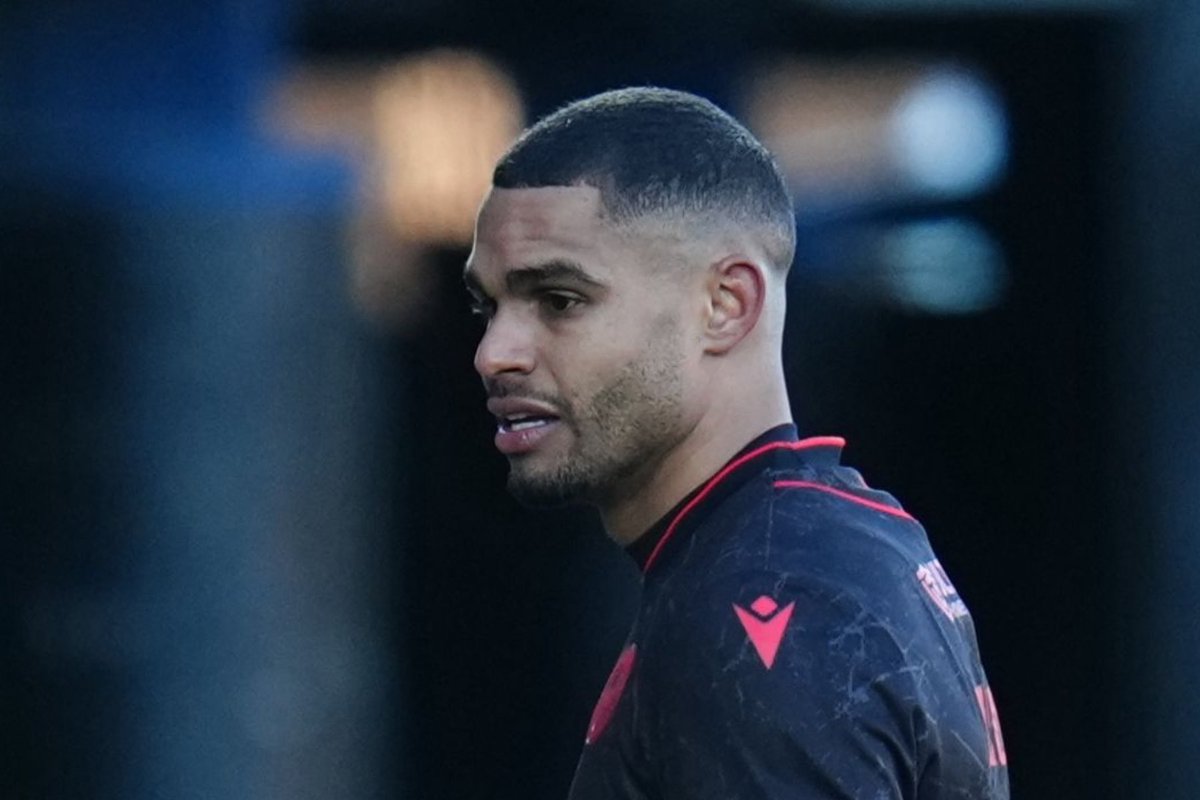 David Irvine tweet media