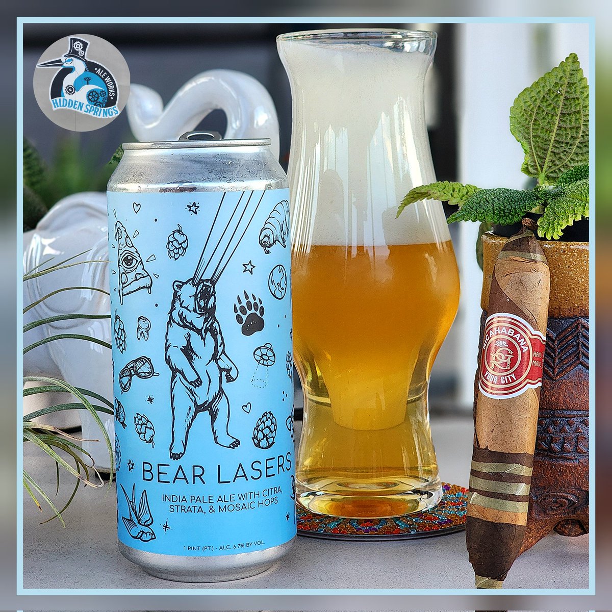 Darrin Everitt tweet media