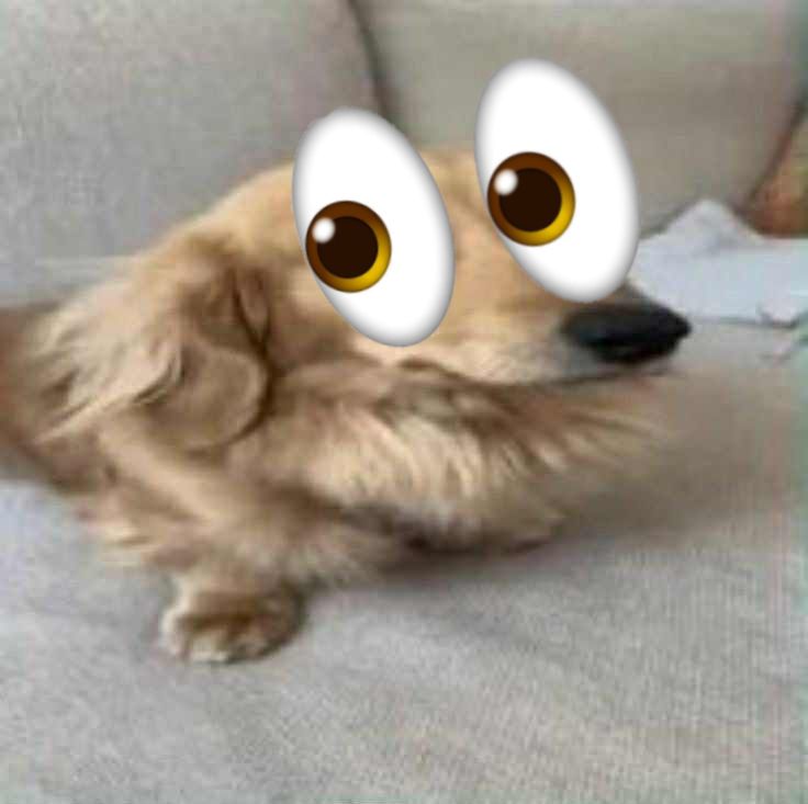 Kist⚰️ tweet media