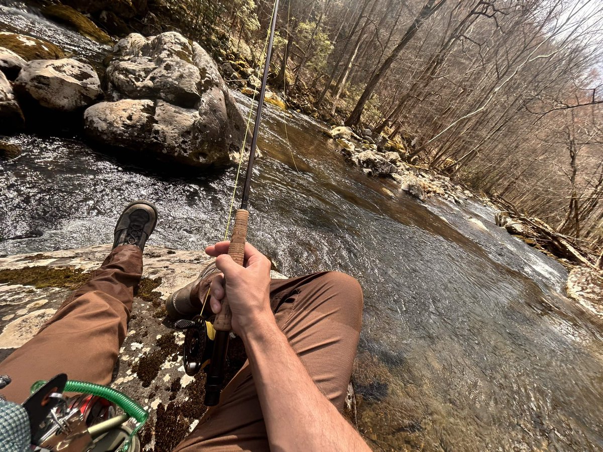 смех tweet media