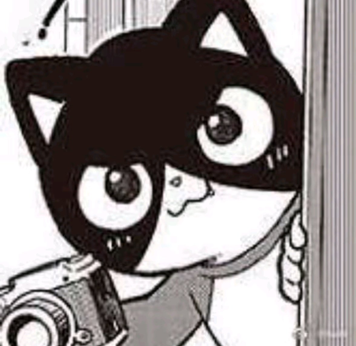 可颂过度摄入 tweet media