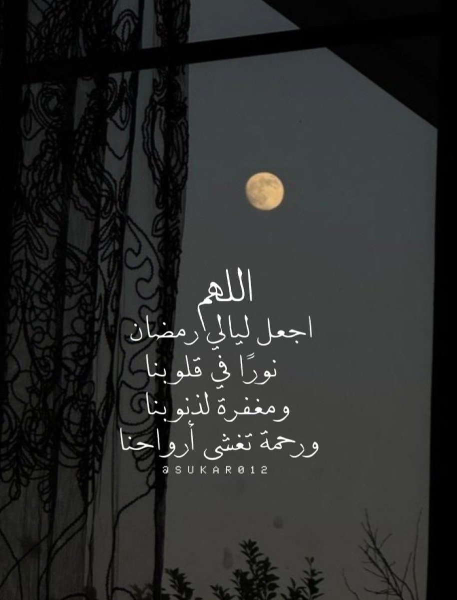 عايض المطيري tweet media