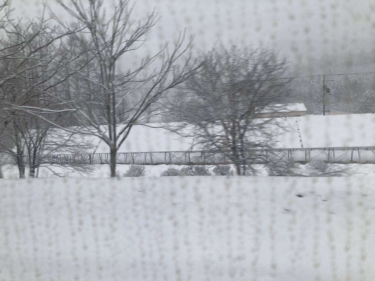 ふつお tweet media