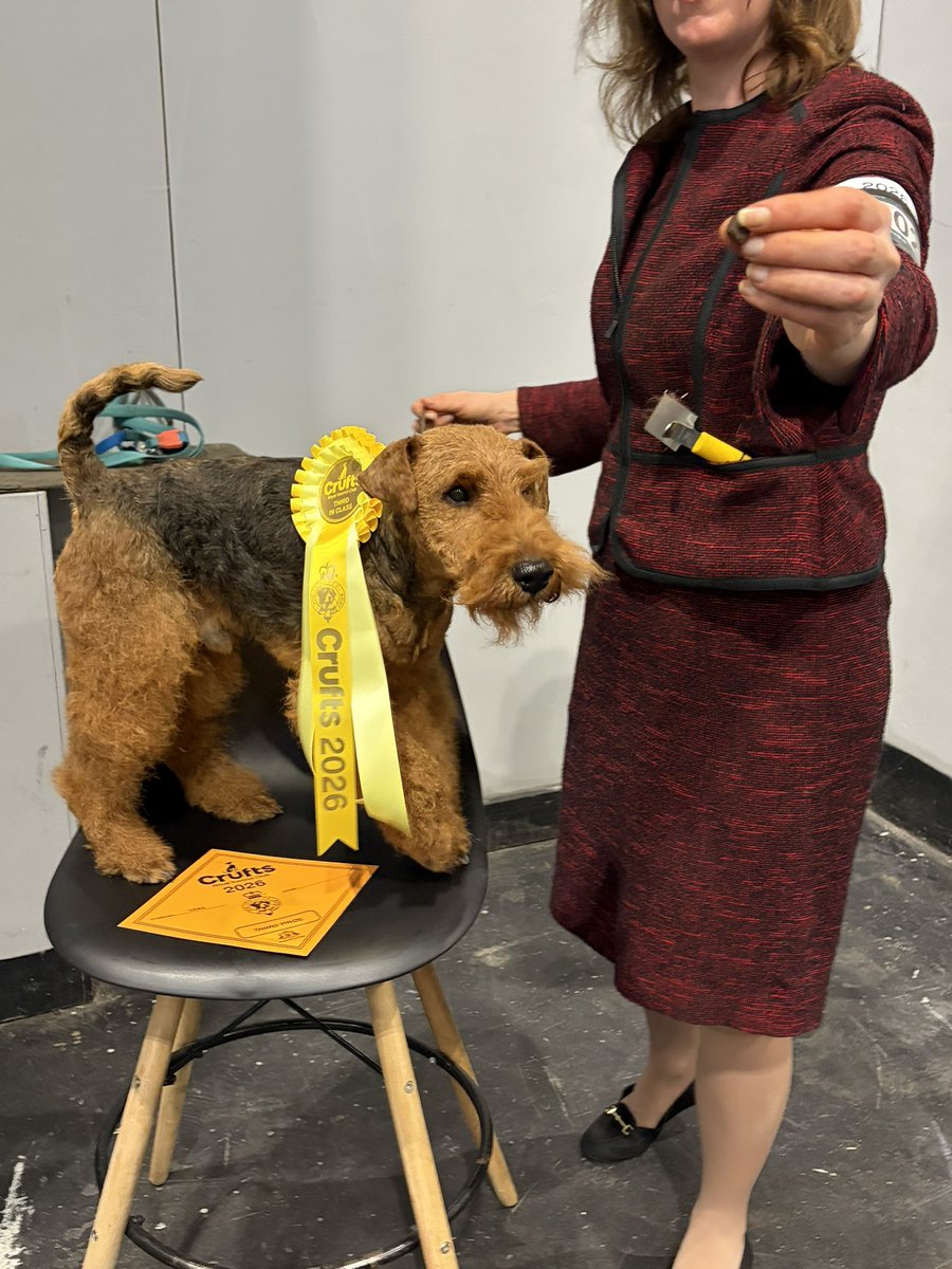 Flynn & Estée Plumbly tweet media