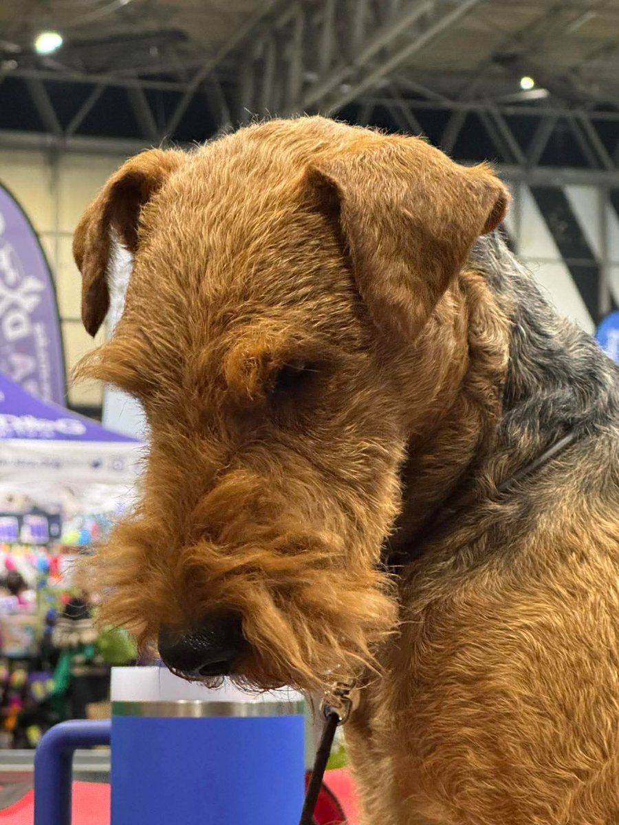 Flynn & Estée Plumbly tweet media