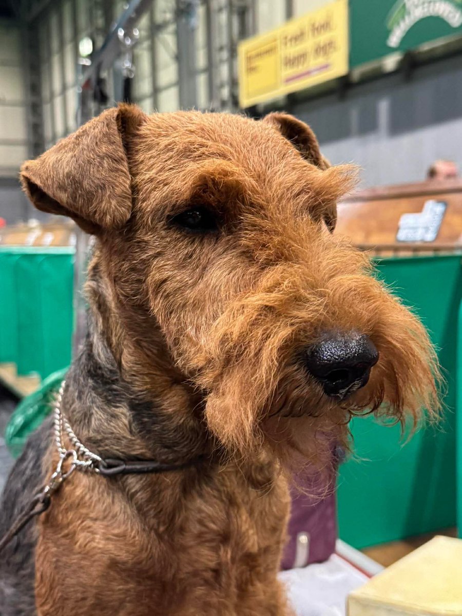 Flynn & Estée Plumbly tweet media