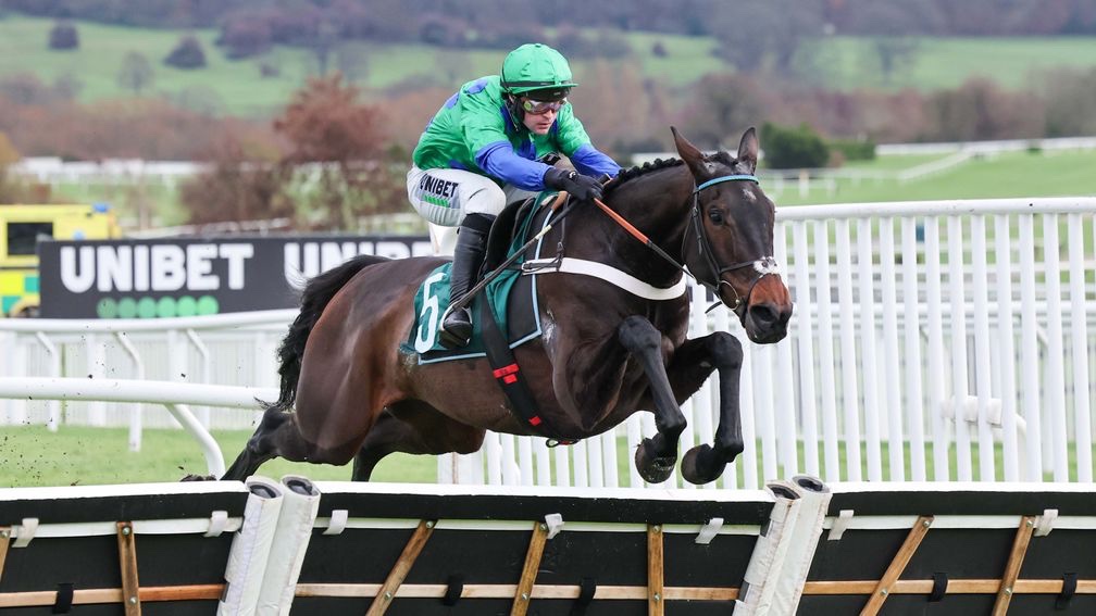 Racing Tips tweet media