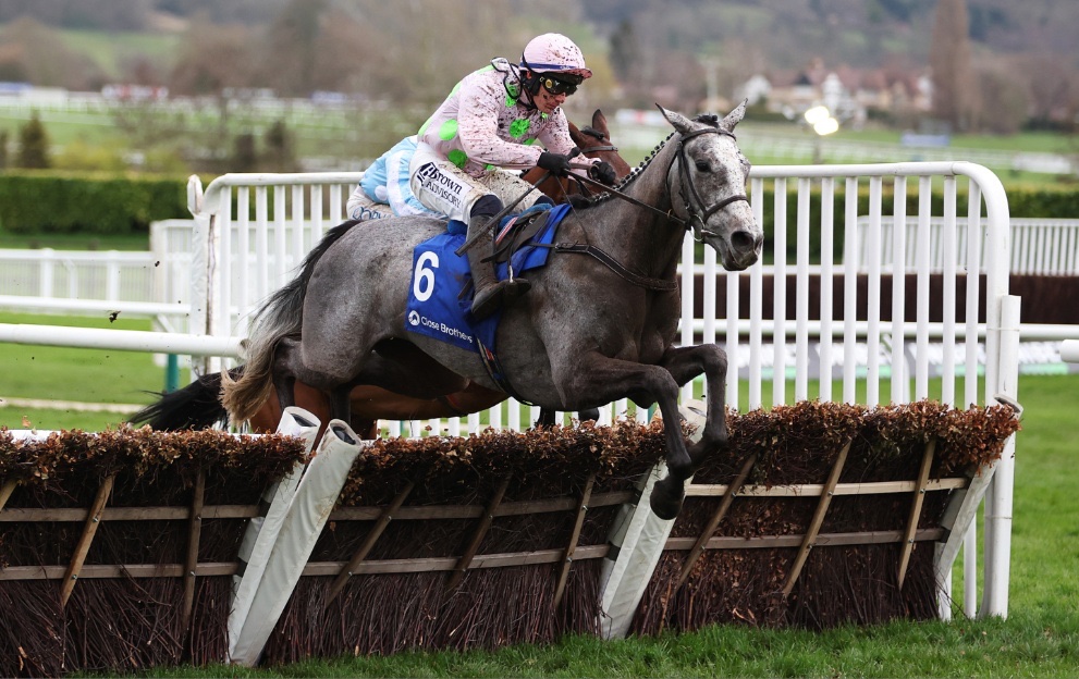 Racing Tips tweet media