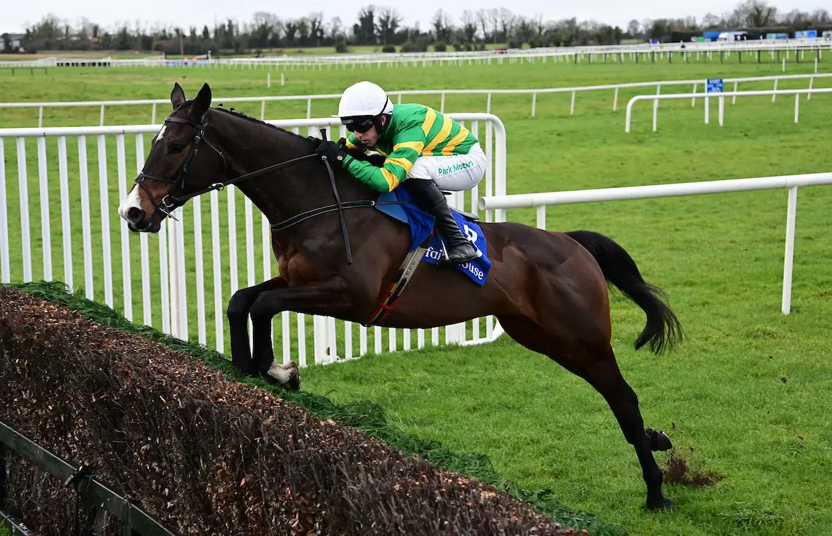 Racing Tips tweet media