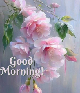 shrni36566's tweet photo. Good Morning
#Gm #prettypics #beauty https://t.co/gmtJJ9uKen