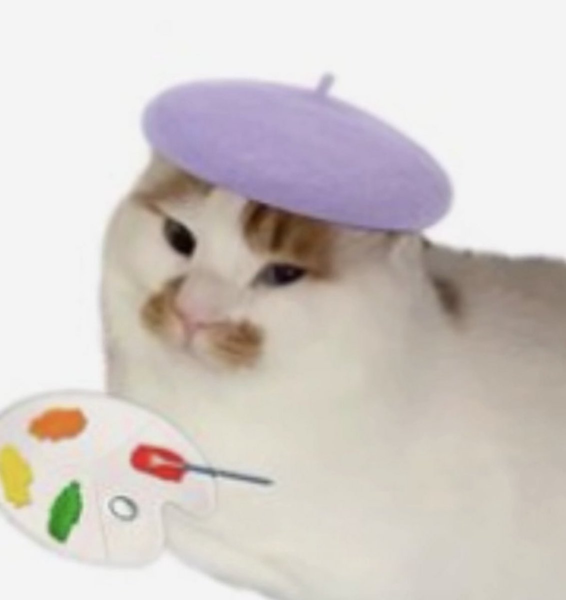 Robin (Dm for Comm Info) 🎉 tweet media