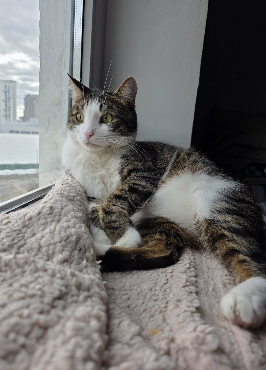 Tory Jam 🇺🇦🕊️ tweet media