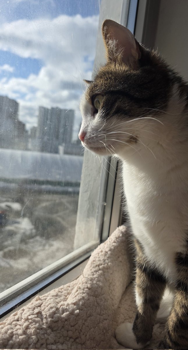 Tory Jam 🇺🇦🕊️ tweet media