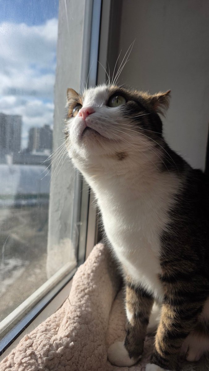 Tory Jam 🇺🇦🕊️ tweet media