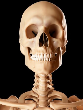 Dr_sani Rx 💉💊🔬 tweet media