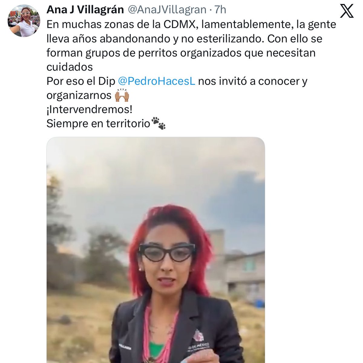 Lucía Hernández | Amo La Ciencia tweet media