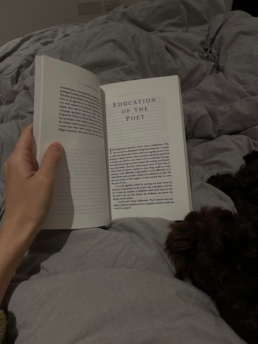 melli1_'s tweet photo. Lost in the pages bathed in the soft glow of the bedside lamp Cozy vibes and a good book 📖 https://t.co/VPyqB4fYM3