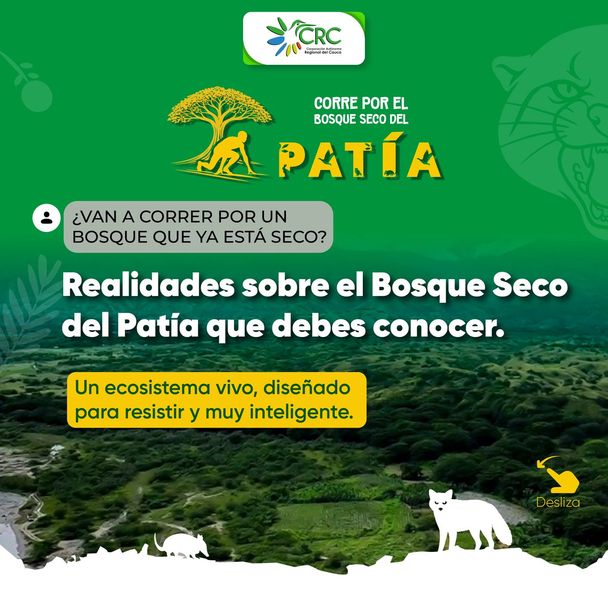 Corporación Autónoma Regional del Cauca CRC tweet media