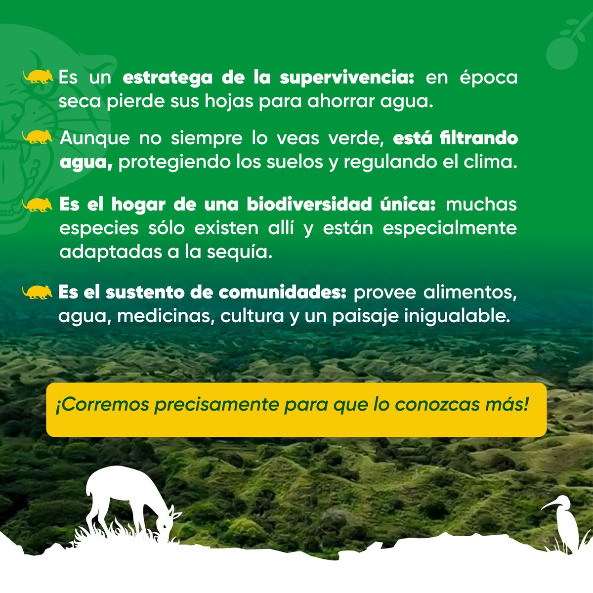 Corporación Autónoma Regional del Cauca CRC tweet media