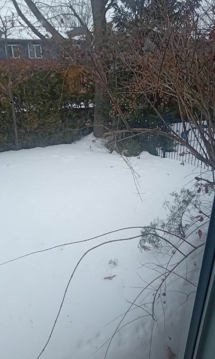 Tony_pcar968 tweet media